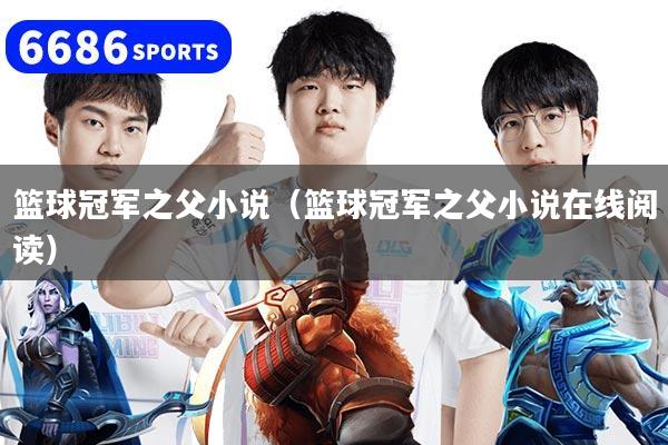 籃球冠軍之父小說（籃球冠軍之父小說在線閱讀）