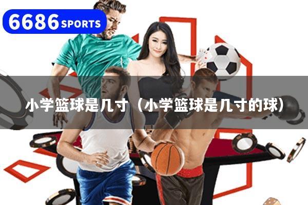 小學(xué)籃球是幾寸（小學(xué)籃球是幾寸的球）