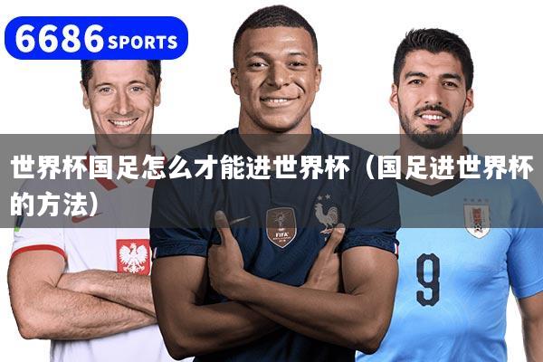 世界杯國足怎么才能進世界杯（國足進世界杯的方法）