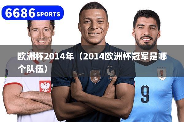 歐洲杯2014年（2014歐洲杯冠軍是哪個隊伍）
