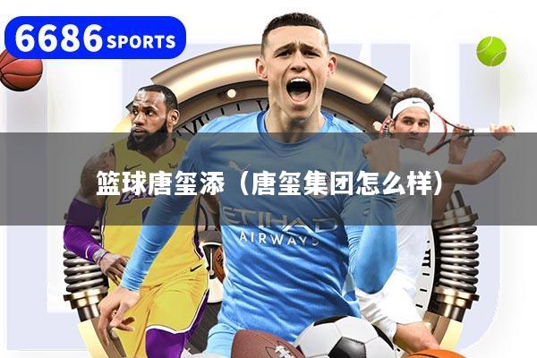 籃球唐璽添（唐璽集團怎么樣）