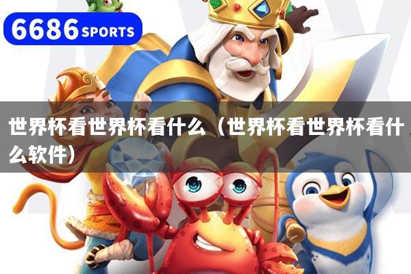 世界杯看世界杯看什么(世界杯看世界杯看什么軟件)