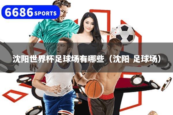 沈陽世界杯足球場有哪些（沈陽 足球場）