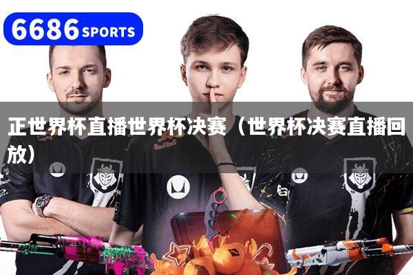 正世界杯直播世界杯決賽（世界杯決賽直播回放）