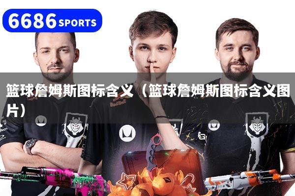 籃球詹姆斯圖標(biāo)含義（籃球詹姆斯圖標(biāo)含義圖片）