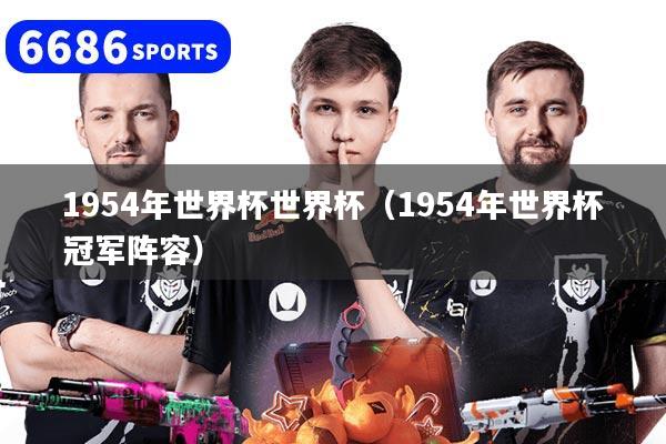 1954年世界杯世界杯（1954年世界杯冠軍陣容）