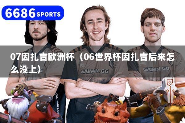 07因扎吉歐洲杯（06世界杯因扎吉后來怎么沒上）